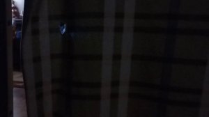 5 ночей у Ферби 1 ночь 1 часть