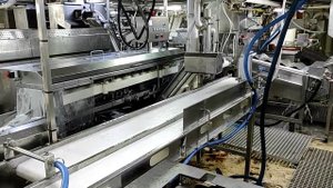 Машина для переработки лососевых ЛПЛ-3000