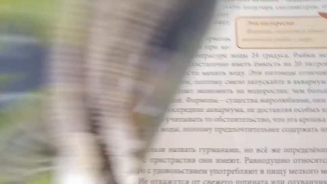 Летний вложик с басиками/Читаем про рыбок🐠 смотреть онлайн