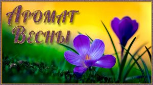 АРОМАТ ВЕСНЫ.