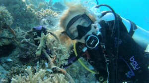 КОРАЛЛОВЫЙ САД МААФУШИ МАЛЬДИВЫ
MAAFUSHI CORAL GARDEN