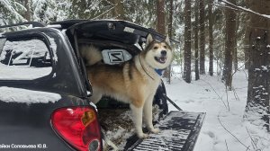 В Рождество с лайками