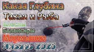 2025 ПОКЛЁВОК ЯНВАРЬ БЛЕСНА БОЛЬШЕ ОКУНЯ И ЭТО ЗА РАДОСТЬ КЛЕВ БЫЛ НА БЛЕСНУ МАРАПЕДКУ И БАЛАНСИР