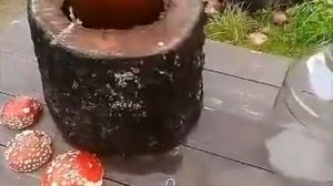 ЛЕЧЕНИЕ МУХОМОРОМ