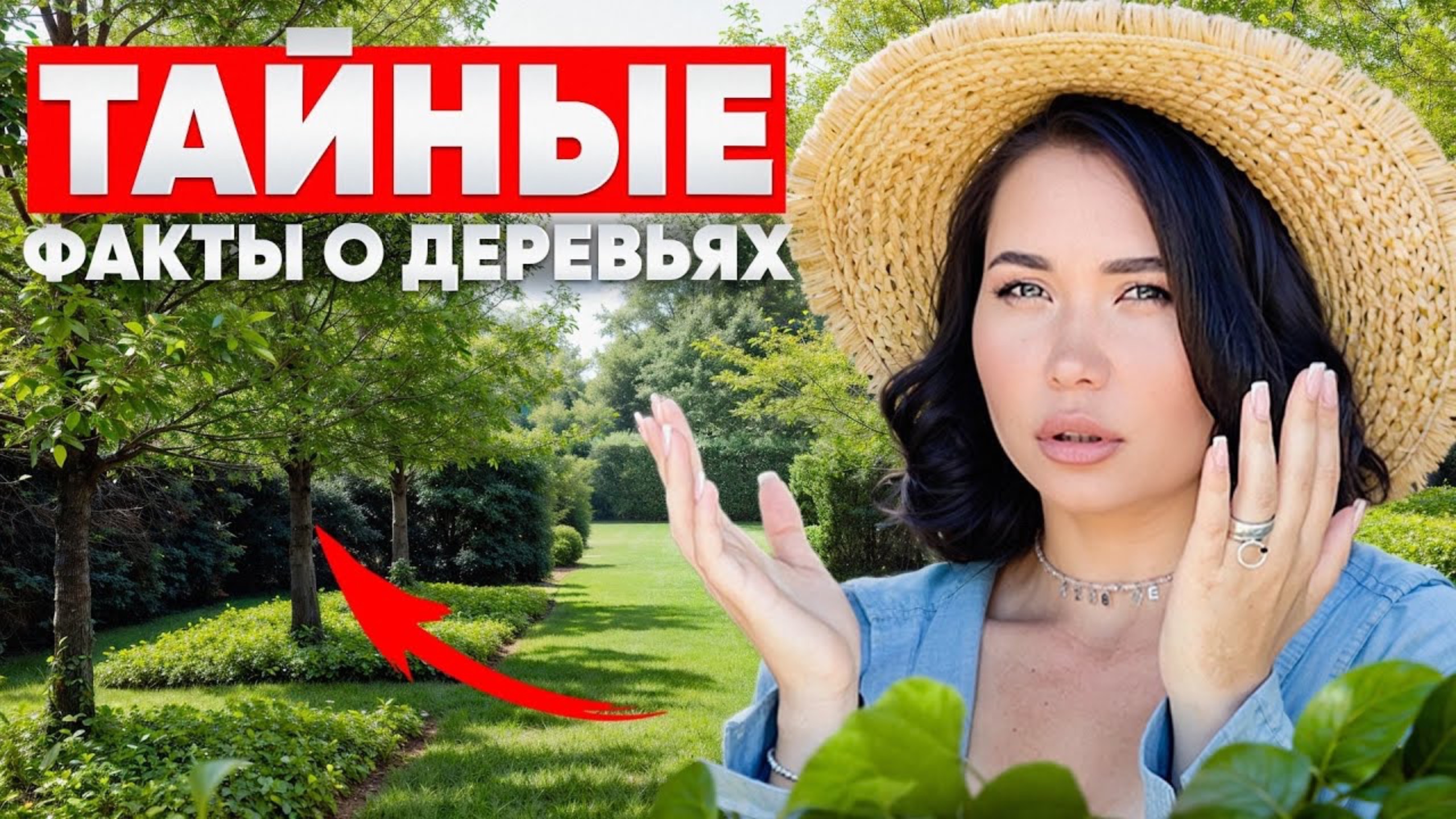 СПОРИМ, вы и не знали этого о ДЕРЕВЬЯХ!