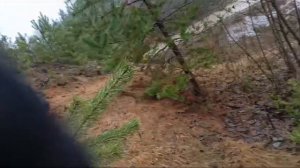 мотопрогулка