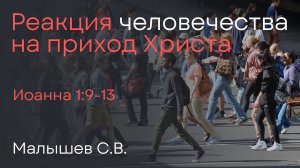 Реакция человечества на приход Христа | Малышев С.В.