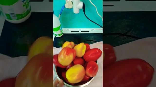 на заморозку 🤗 смотреть онлайн