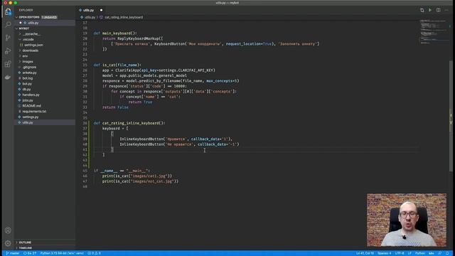 151. Добавляем Inline-клавиатуру к картинке смотреть онлайн