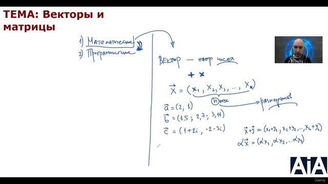 13. Векторы и матрицы