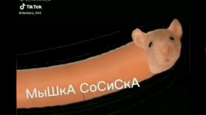 мышка сосиска, крыска ириска, Кот бутерброд,авакада бегемот.1-минутная версия.