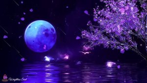 💙🩵успокаивающая музыка для сна😴💤🛌🏼🥱😪 Автор @Weightless Soul