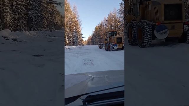 Значит лопатой решили почистить себе стояночку немного! )) #shorts #short