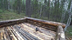 Хижина у реки. Балаган разрушен! Новый гость и помощник! Рыба ловиться рядом!