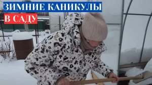 САДОВЫЕ КАНИКУЛЫ  ЗИМОЙ - ЧТО СДЕЛАТЬ В  ЯНВАРЕ В САДУ И ОГОРОДЕ