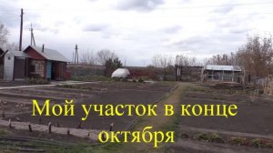 Какой вред от сорняков на огороде