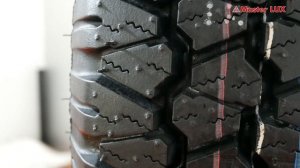 Легкогрузовые всесезонные шины Lassa Multiways-C