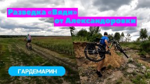 Опять разведка "Вяди"