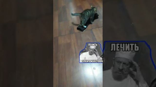 Симка 2