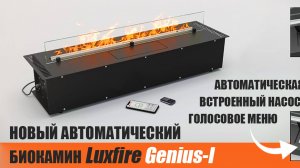 Автоматический биокамин Lux Fire Genius-1 (Auto fireplace Lux Fire Genius-1)