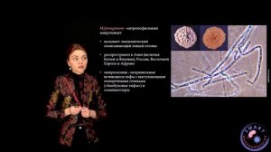 Микробиология. "Основы медицинской микологии. Диагностика и клинические проявления микозов"