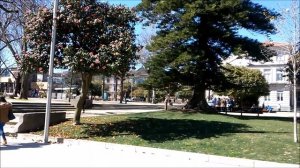 Моя жизнь в Испании. Как изменилась Испания. Испания весной.