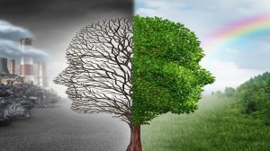 Воздействие ТЭС на окружающую среду