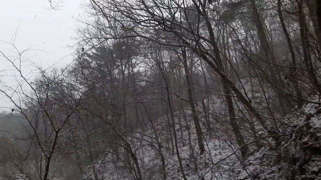 Korea Winter Bushcraft - fire pot, swedish torch, hammock смотреть онлайн