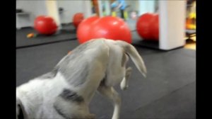 Фильм про Дуню