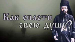 Как спасти свою душу? Николай Сербский