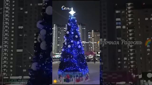 Прогулка по алле Мюфке Саратов. Красавица Елочка.Солнечный☀️Декабрь 2024год