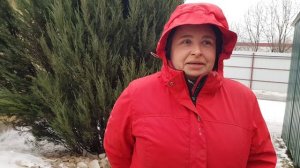 Наталья, волонтер Кожуховского муниципального приюта для безнадзорных животных г. Москвы