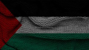Falasteen Biladi - Humood | No Music | Lyrics and English Translation #freepalestine