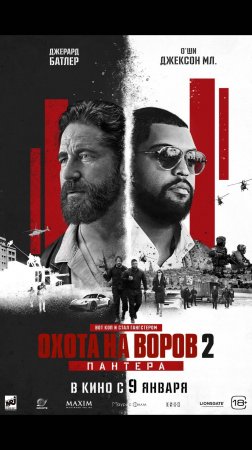 Охота на воров 2 Пантера