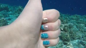 Мальдивы. Подводный мир.