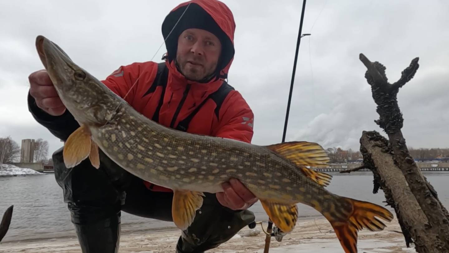 УДАЧНО открыл 2025 год со СПИННИНГОМ на Москва-реке! Зимний спиннинг, рыбалка на ДЖИГ и ВОБЛЕРЫ! смотреть онлайн