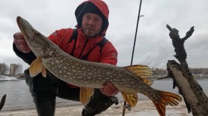 УДАЧНО открыл 2025 год со СПИННИНГОМ на Москва-реке! Зимний спиннинг, рыбалка на ДЖИГ и ВОБЛЕРЫ!