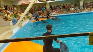 НА МАШИНЕ К ЧЕРНОМУ МОРЮ 2020.х.БЕТТА Геленджикский округ.