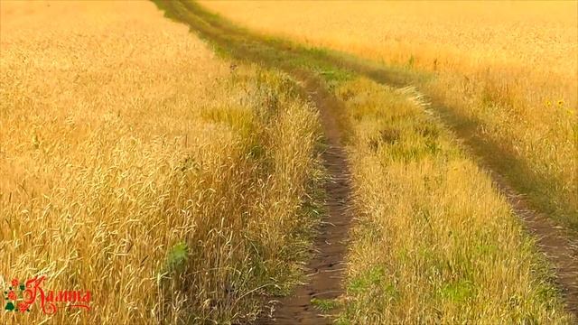 СМОТРЕТЬ ВСЕМ!!! Песня "МОЛОДОЙ АГРОНОМ". Ансамбль Калина. Russian folk song... смотреть онлайн