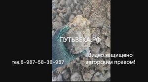 Уборка навоза в зимнее время. ч.3  Навозоуборщик 6m3 ZIMU. ООО "Техника Башагросервис"