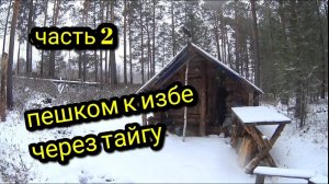 ПЕШКОМ К ИЗБЕ ЧЕРЕЗ ТАЙГУ_ПЕРВЫЙ СНЕГ_ часть 2 #тайгахмао #изба #лес