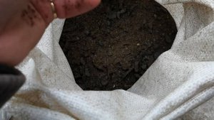 Как выбрать хороший подсолнечный жмых для корма сделанного своими руками!