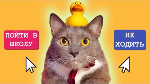 КОТИКИ В ШКОЛЕ - ИГРА