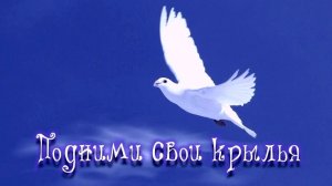 Подними свои крылья | христианский стих