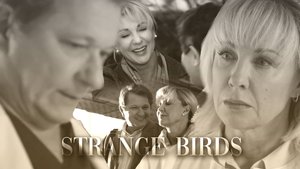 Павлова и Кривицкий - Strange Birds | Склифосовский