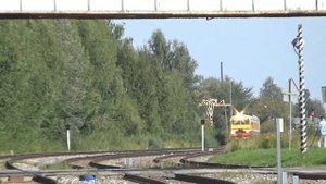 Подборка грузовых поездов