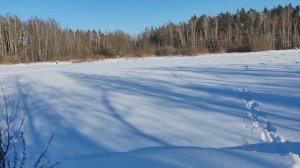 Лыжная прогулка в январскую солнечную погоду. Озеро в окрестностях мкр. Железнодорожный. 21012024.