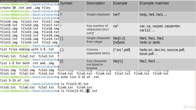 7. Wildcards - making linux command badass смотреть онлайн