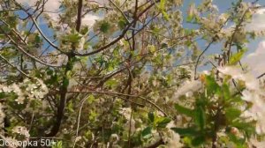 ВЛОГ/НА ДАЧЕ/МУКБАНГ/КАЗАХСТАН