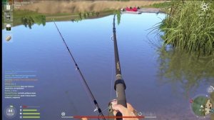 рр4! Сура Толстолобик пёстрый! #РусскаяРыбалка4 #RussianFishing4 #ВсеоРыбалке